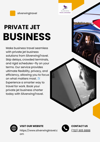 Private Jet Business.png