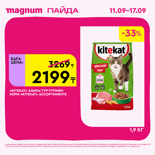Magnum 1620x1620 1 tov 2025 09 10T122414.803.png
