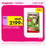 Magnum 1620x1620 1 tov 2025 09 10T122414.803