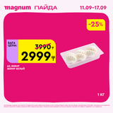 Magnum 1620x1620 1 tov 2025 09 10T122457.136