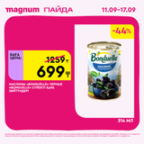 Magnum 1620x1620 1 tov 2025 09 10T122338.395