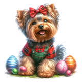 Yorkshire Terrier (3)