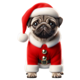 Mops Weihnachten 02 (8)