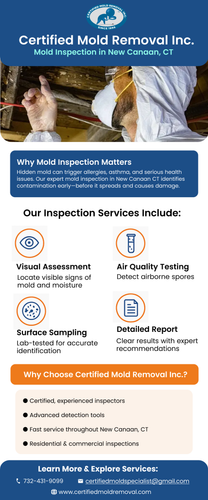 Professional Mold Inspection in New Canaan CT for Safe Living.png