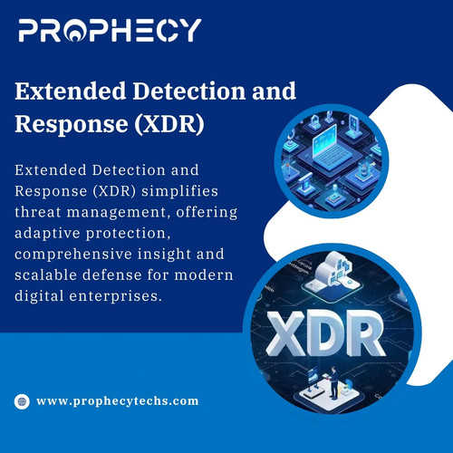 xdr.jpg