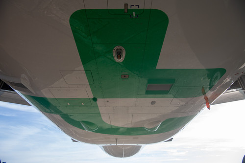 546404400 1098685802434257 3405062755394560666 n.jpg