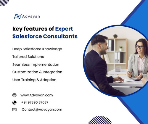 Key features of Expert Salesforce Consultants.jpg