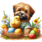 Hunde Mix (6)