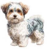 BC GroomingTime El (81)