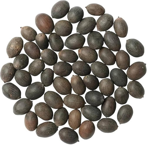 61PxazIbN+L. SL1000 .jpg