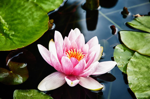 71S yCNS7OL. AC SL1500 .jpg