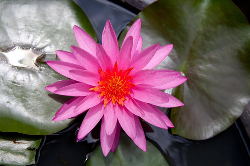 71Zi9TLeB3L. AC SL1500 .jpg