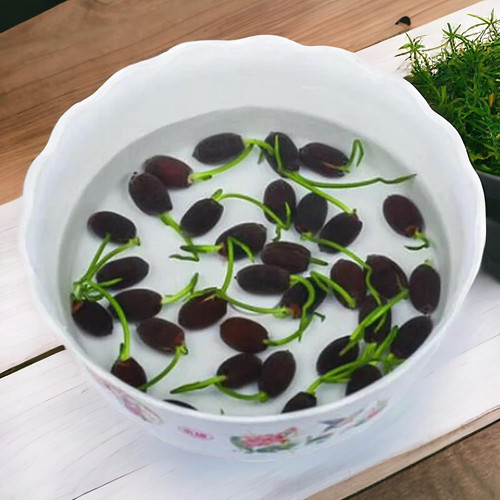 71GcSDhaBYL. AC SL1500 .jpg