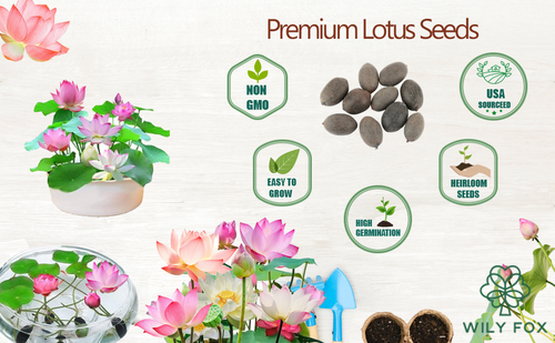 90e49cda ed61 4249 90b8 e5c7a2311cf1. CR0,0,970,600 PT0 SX970 V1 .png