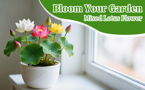 4e2fe3a9 9c04 4d24 a2ea 645b6c2c9918. CR0,0,970,600 PT0 SX970 V1 .jpg