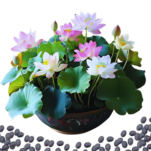 7197i4yXG6L. SL1500 .jpg