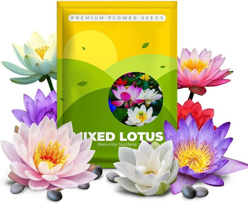 61tlHcQ8n7L. AC .jpg