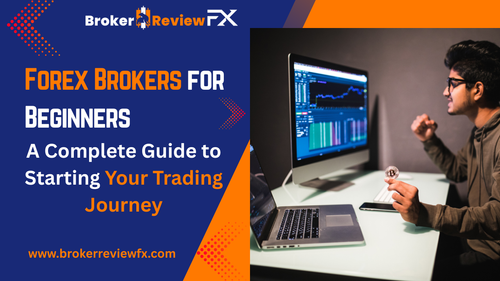Forex Brokers for Beginners.png
