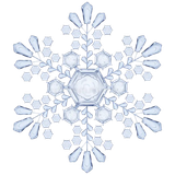 transparent snowflake translucent vector file big light blue color transparency 57412722 removebg pr.png