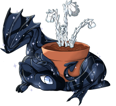 midnight spiral.png