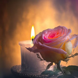 360 F 556295788 Q0ld3 VTnkv QXxz Twv F3ys Rc16 Yhefl0o