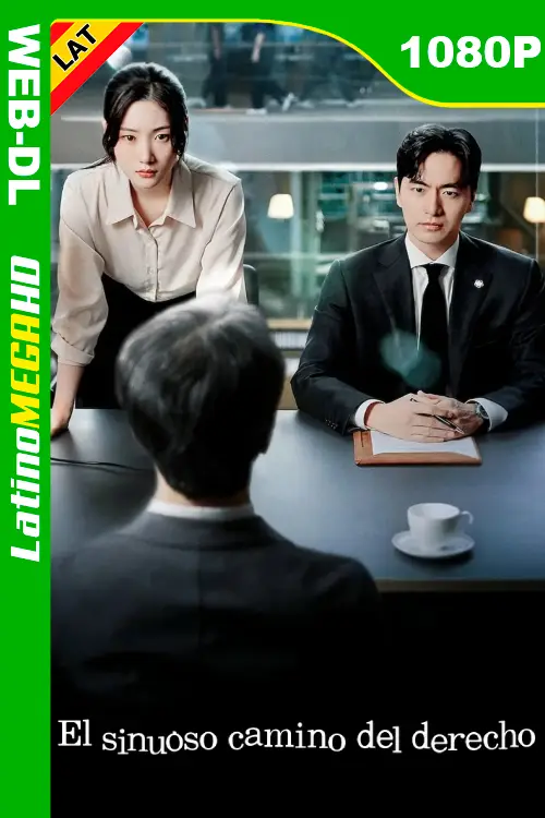 El sinuoso camino del derecho (Serie) Temporada 1 (2025) Latino 1080P NF WEB-DL