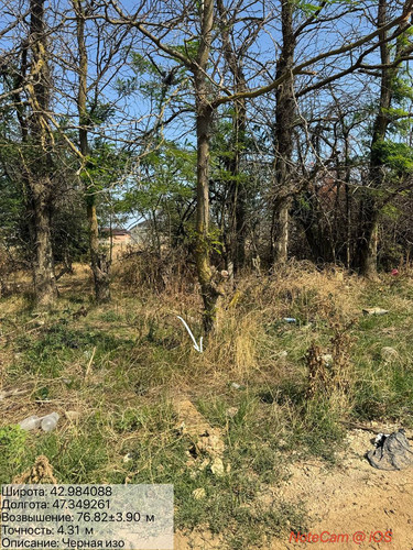 photo 2025 09 10 04 14 39.jpg