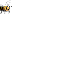 bee