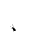 bug