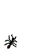 ant2