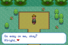 Pokemon Gaia 104.png