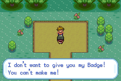 Pokemon Gaia 132.png