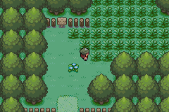 Pokemon Gaia 147.png