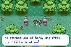 Pokemon Gaia 134.png