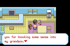 Pokemon Gaia 173.png