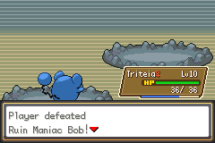 Pokemon Gaia 13.png