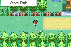 Pokemon Gaia 48.png
