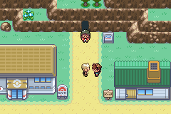 Pokemon Gaia 25.png