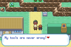Pokemon Gaia 29.png