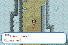 Pokemon Gaia 16.png