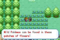 Pokemon Gaia 74.png