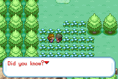 Pokemon Gaia 73.png