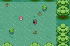 Pokemon Gaia 89.png