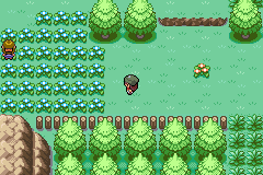 Pokemon Gaia 72.png