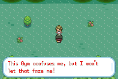 Pokemon Gaia 90.png