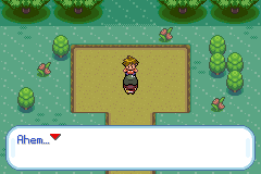 Pokemon Gaia 100.png