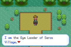 Pokemon Gaia 102.png