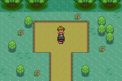 Pokemon Gaia 99.png