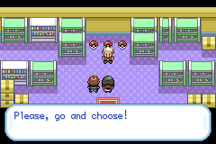 Pokemon Gaia 93.png