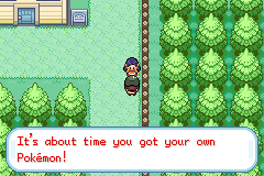 Pokemon Gaia 80.png